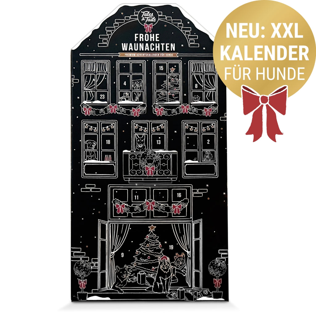 XXL - Adventshaus für Hunde