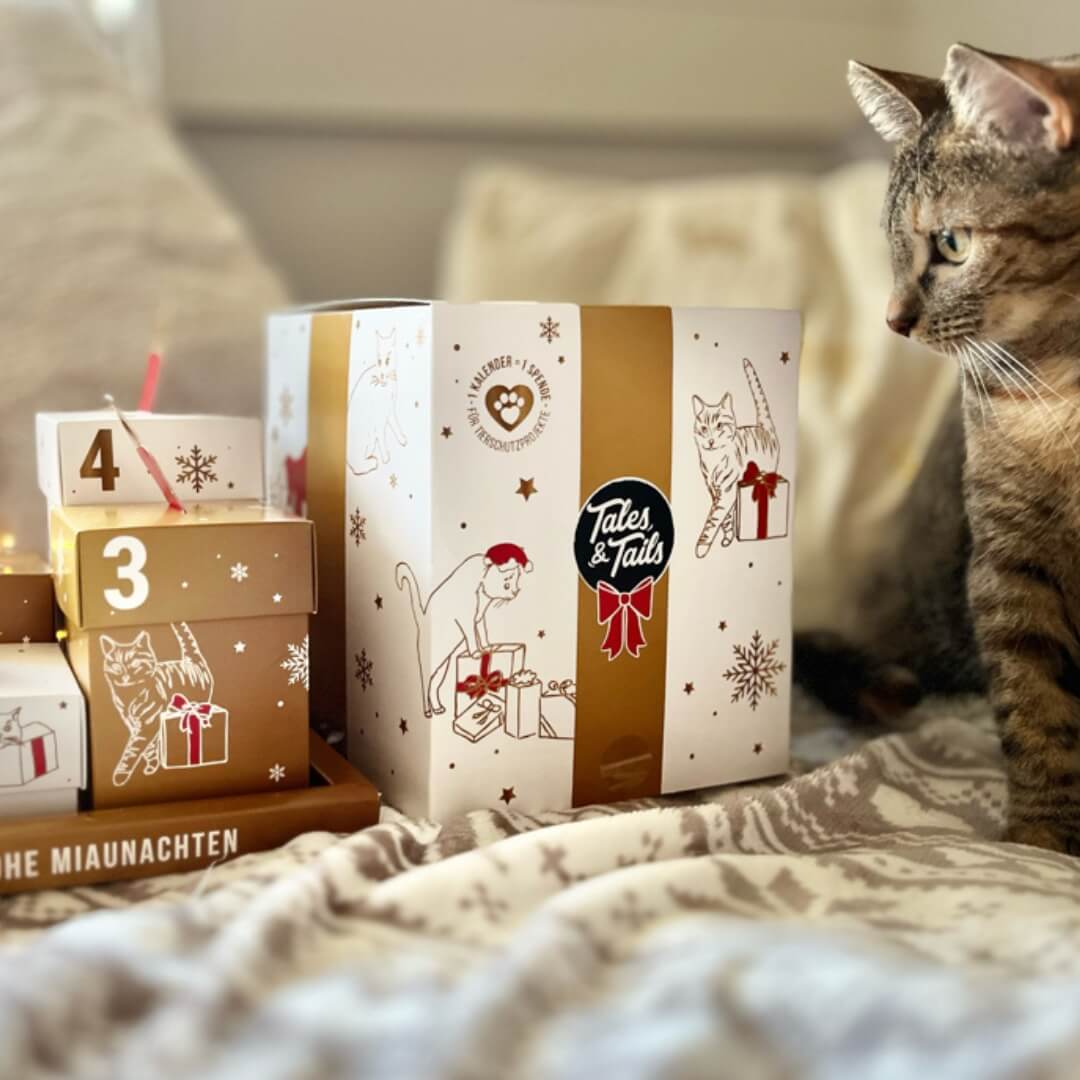 Adventskranz für Katzen