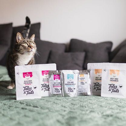 Probierpaket für Katzen mit Nassfutter und Leckerli