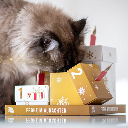 Adventskranz für Katzen