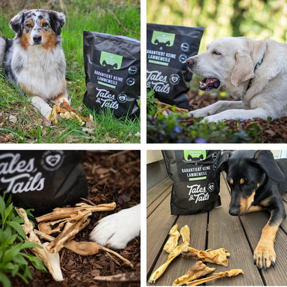 Garantiert keine Lammeweile