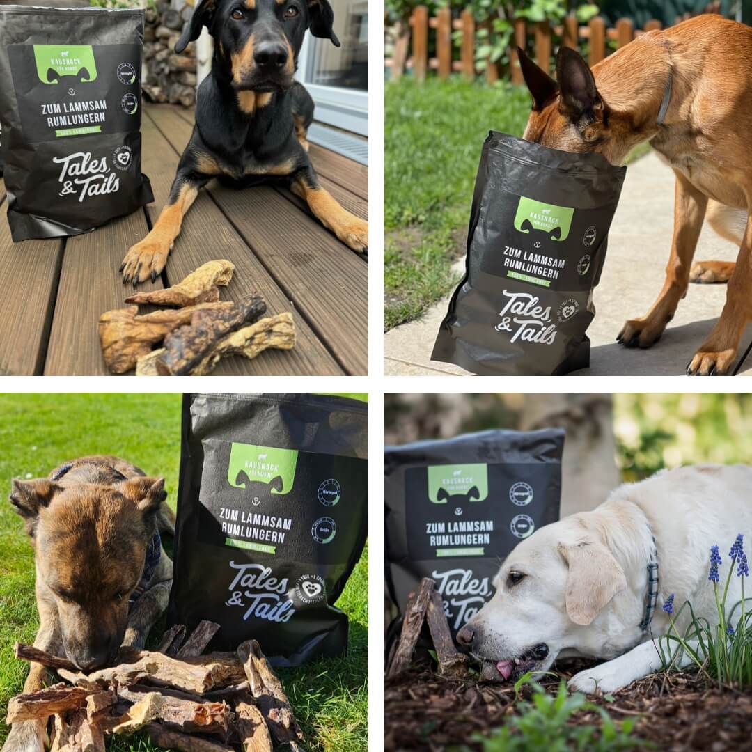 Zum LammSam Rumlungern