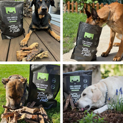 Zum LammSam Rumlungern