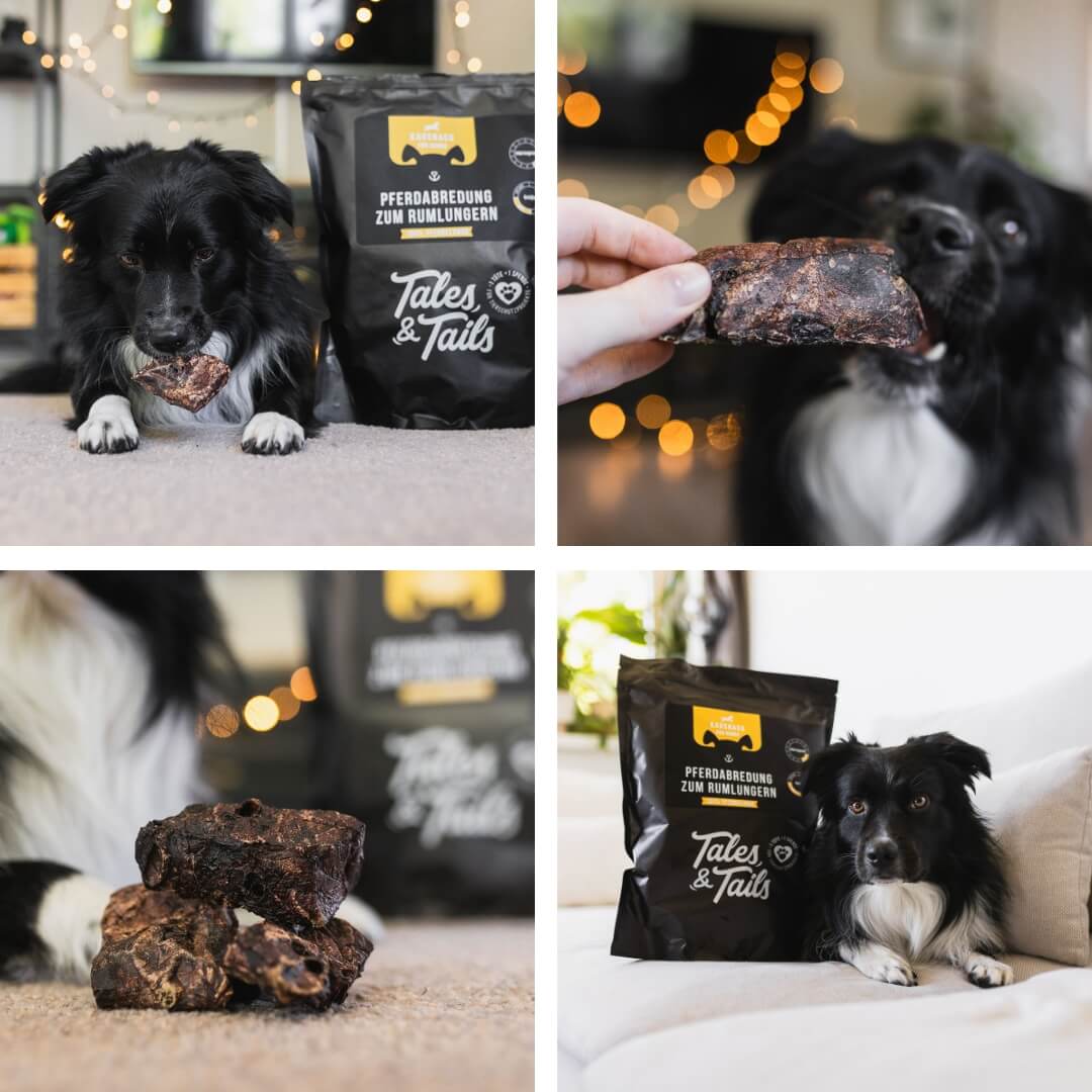 PferdAbredung zum Rumlungern