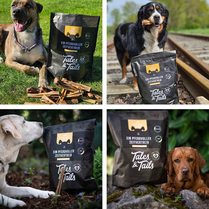 Ein PferdVoller Zeitvertreib