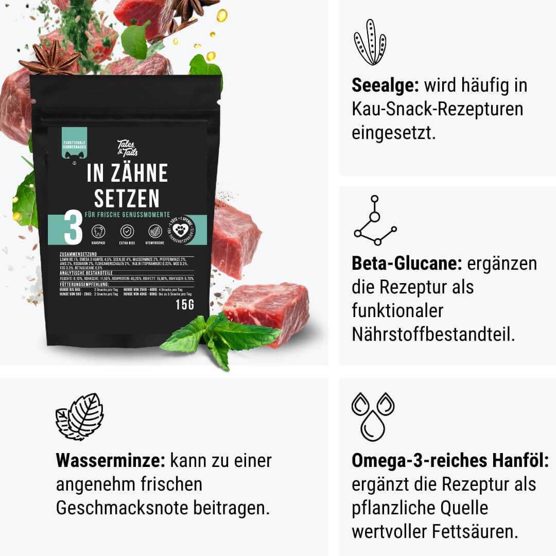 Probe - In Zähne setzen