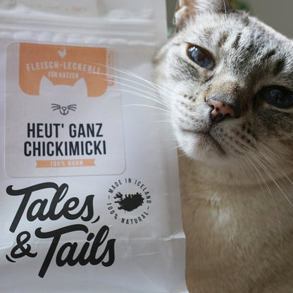 Probierpaket für Katzen mit Alleinfutter Nass und Leckerli