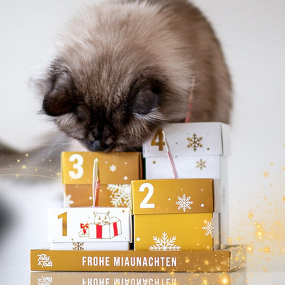 Adventskranz für Katzen