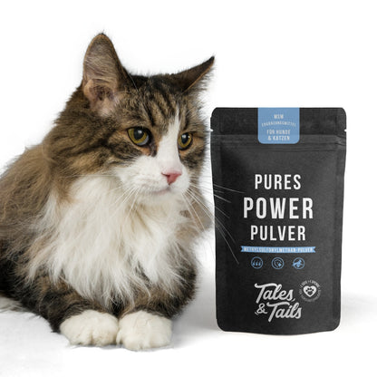 Pures Power Pulver für Katzen