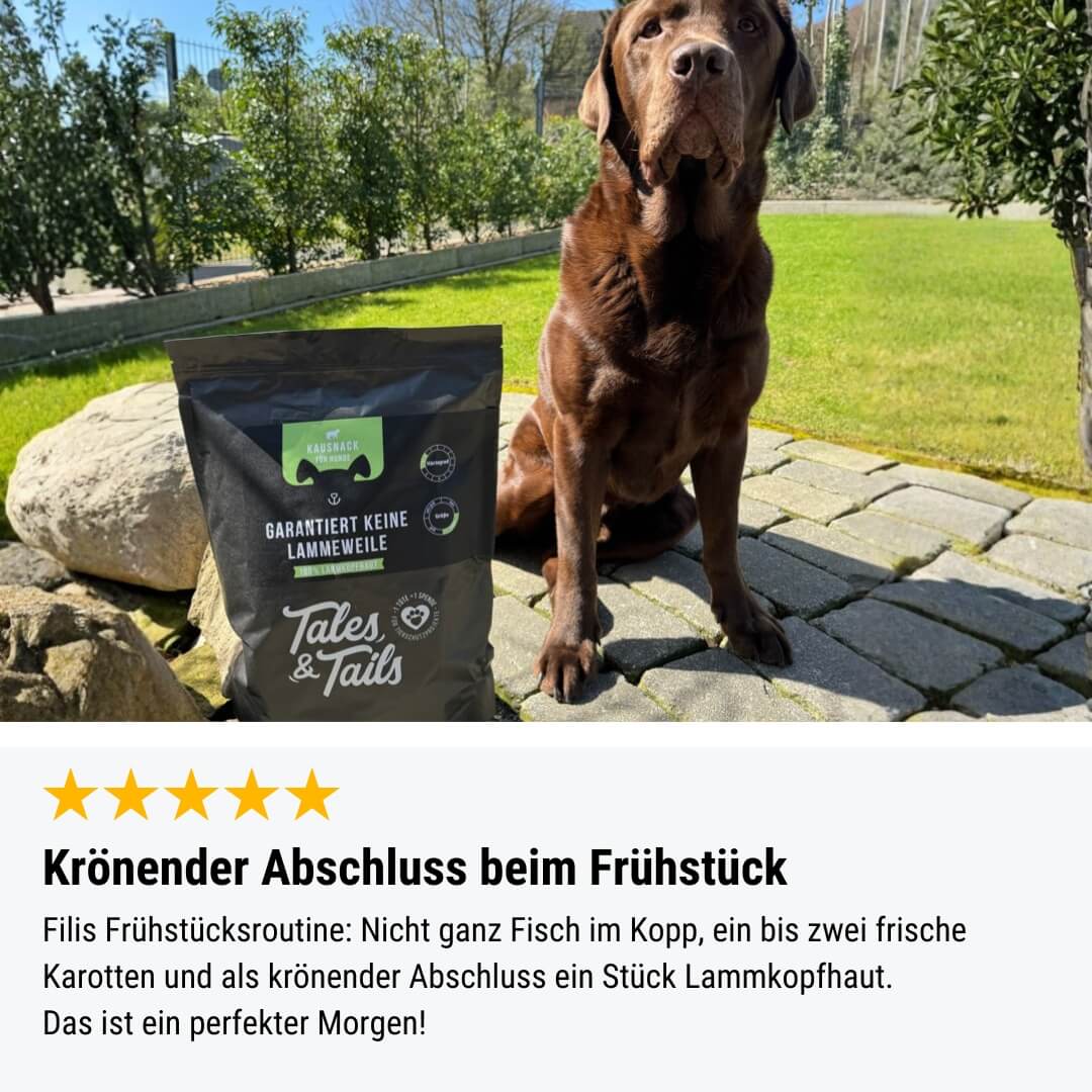 Garantiert keine Lammeweile