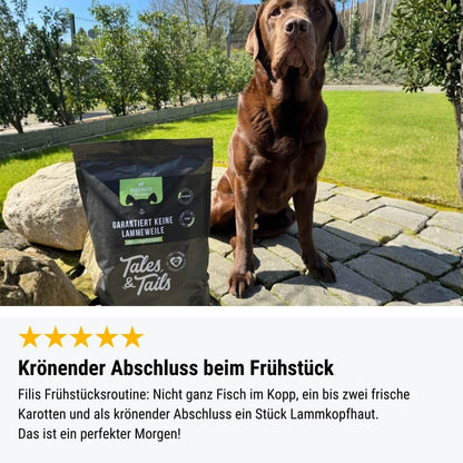 Garantiert keine Lammeweile