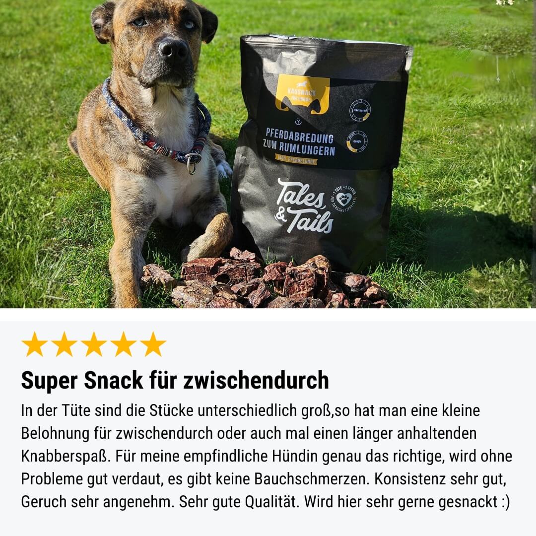 PferdAbredung zum Rumlungern