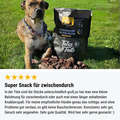 PferdAbredung zum Rumlungern