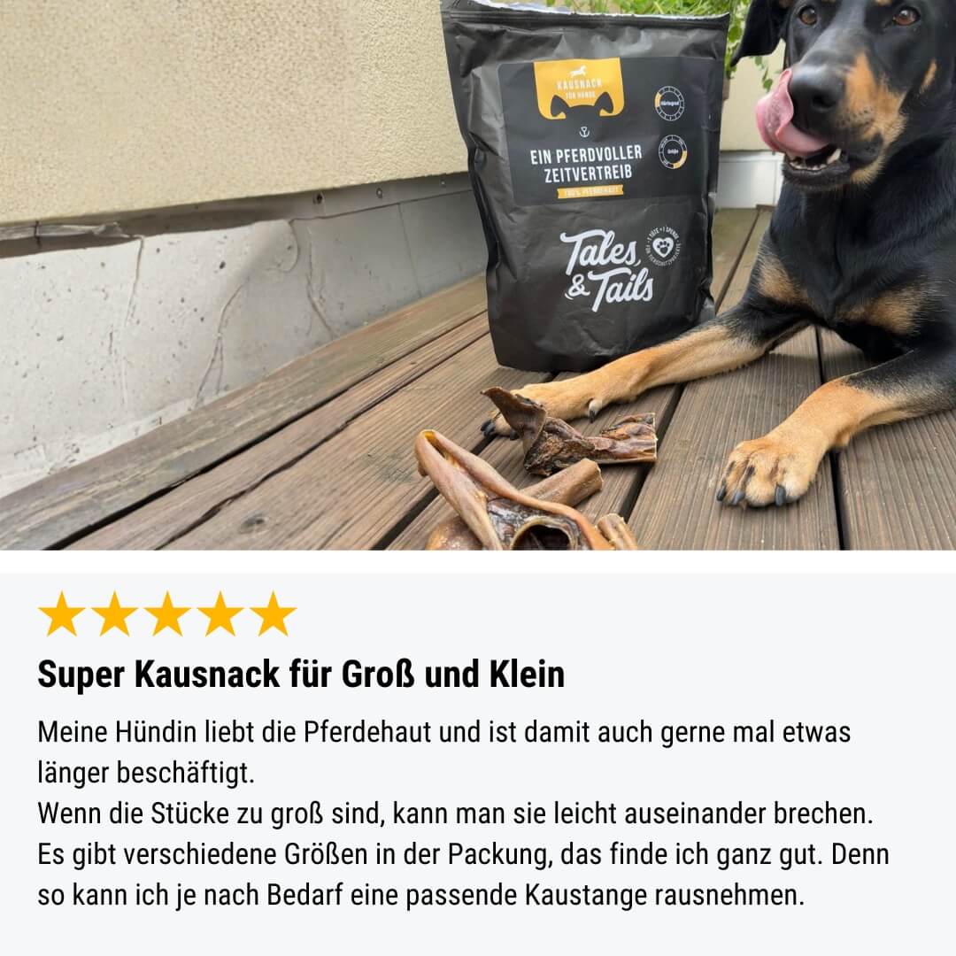 100% Pferdehaut fr Hunde kaufen Kauspa garantiert Tales & Tails 100% Pferdehaut fr Hunde kaufen Kauspa garantiert Tales & Tails