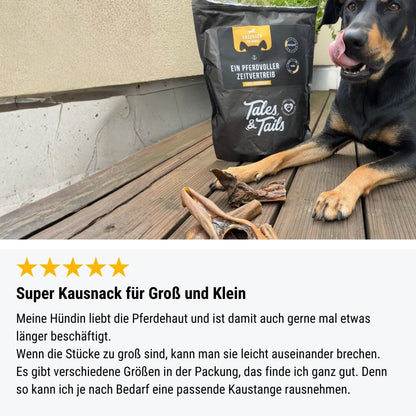 Ein PferdVoller Zeitvertreib