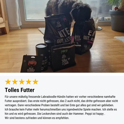 Probe Ente gut, alles gut