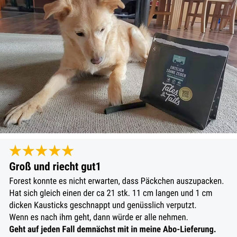 EnteLich Zähne zeigen