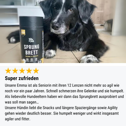 Sprungbrett