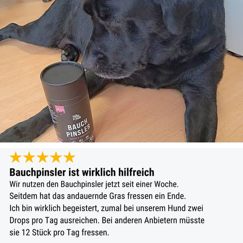 Probe - Bauchpinsler