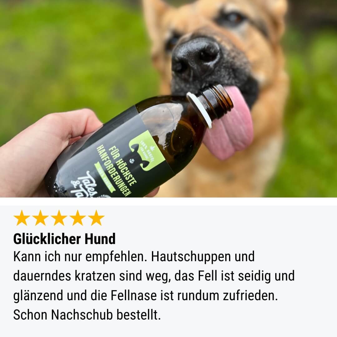 Für höchste Hanforderungen