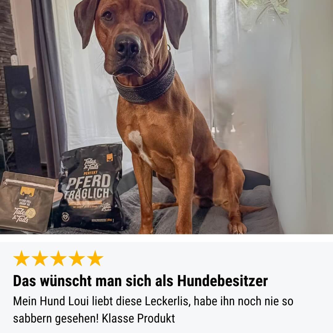 Pferd voll drauf ab - 250g
