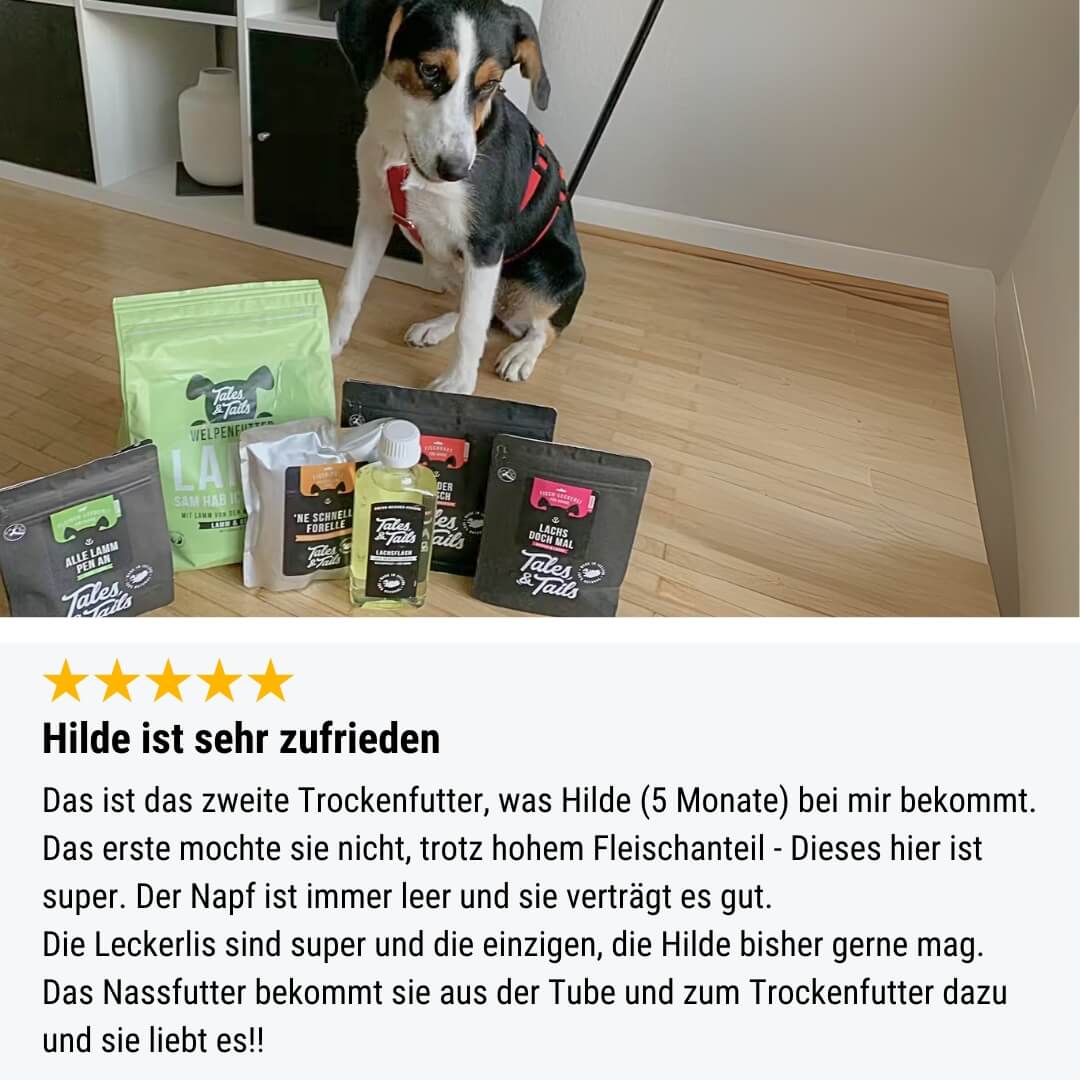 Welpenpaket