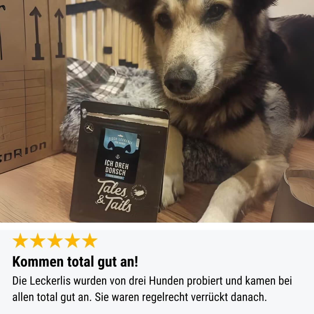 Ich dreh Dorsch