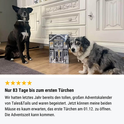 Adventskalender für Hunde