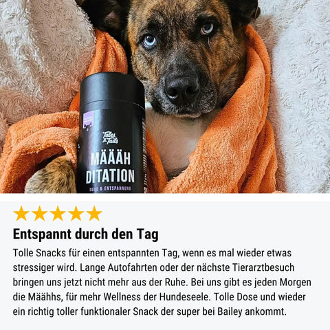 Probe - Määähditation