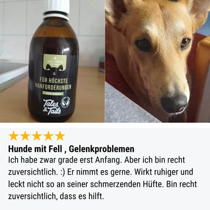 Für höchste Hanforderungen