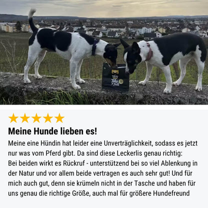 Pferd voll drauf ab - 250g