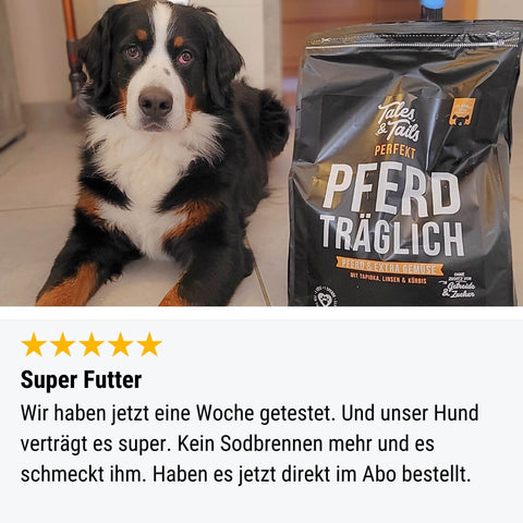 Perfekt PferdTräglich