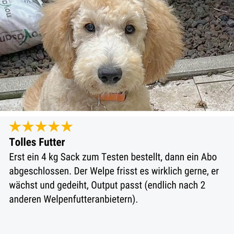 LammSam hab ich Hunger