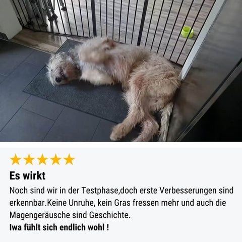 Dreier Paket Trockenfutter 4kg
