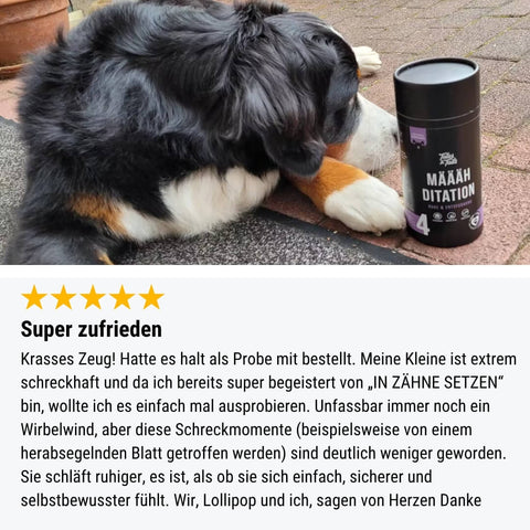 Probe - Määähditation
