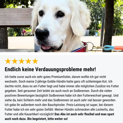 Welpenpaket