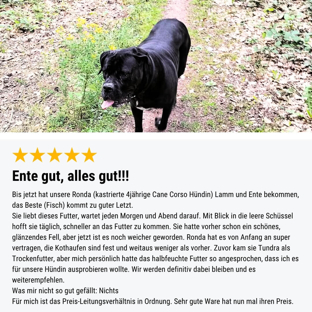 Zweier Paket Trockenfutter 4kg
