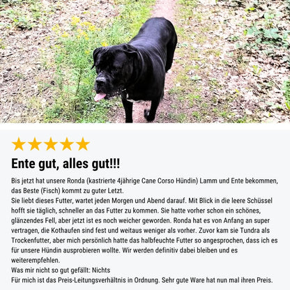 Zweier Paket Trockenfutter 4kg