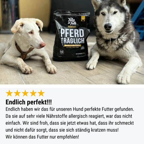 Perfekt PferdTräglich