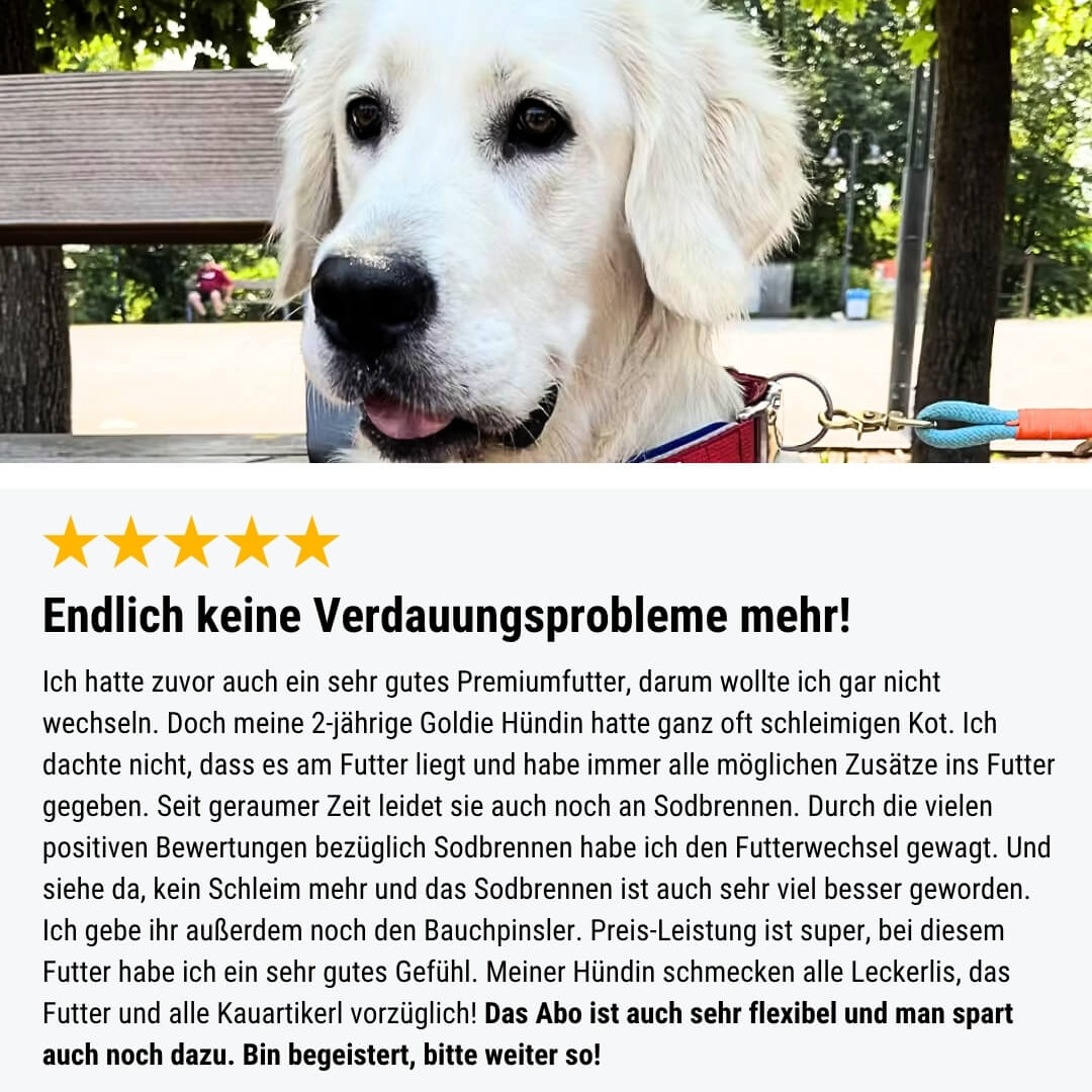Zweier Paket Trockenfutter 4kg
