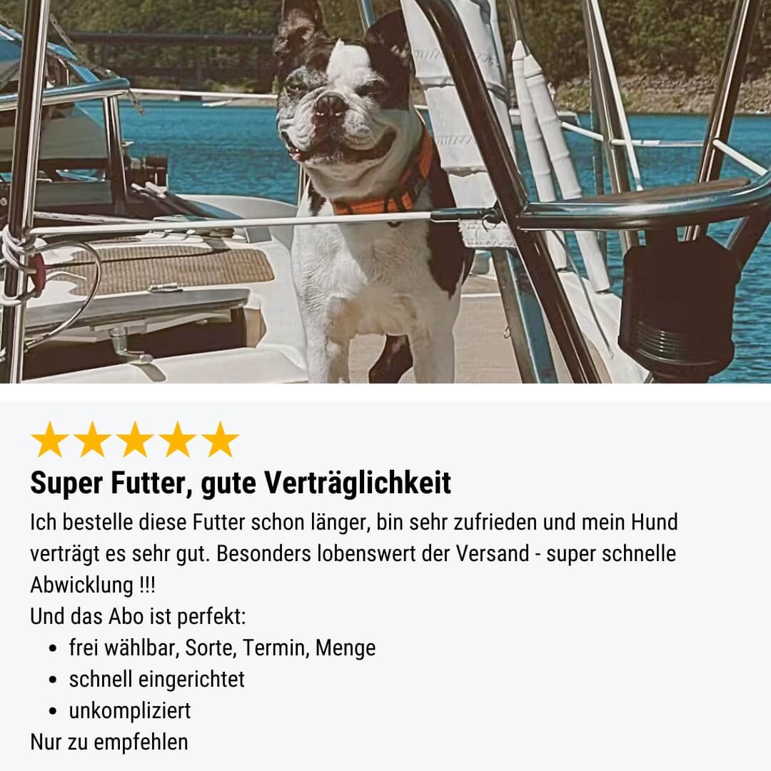 Noch ganz Fisch im Kopp?