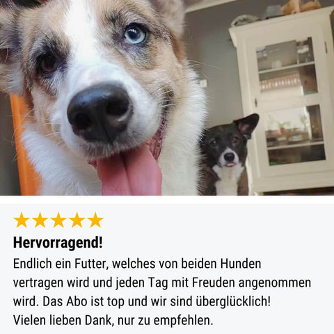 Probe Ente gut, alles gut