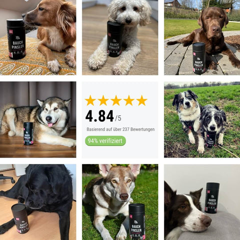 Probe - Bauchpinsler