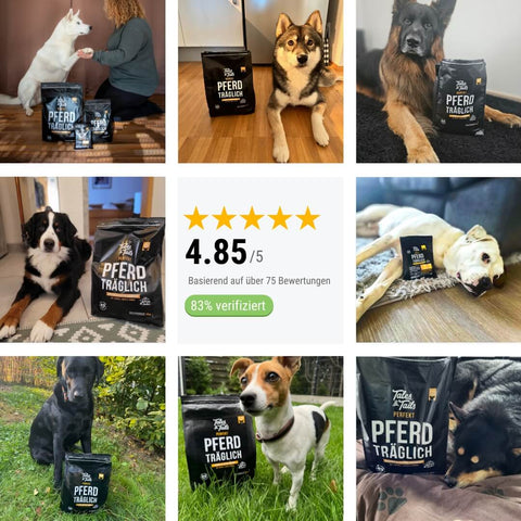 Perfekt PferdTräglich