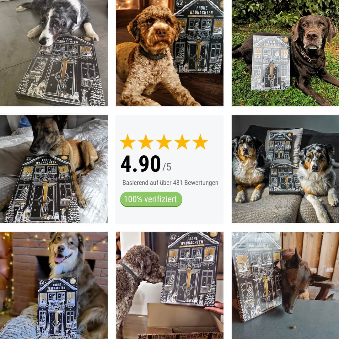Adventskalender für Hunde