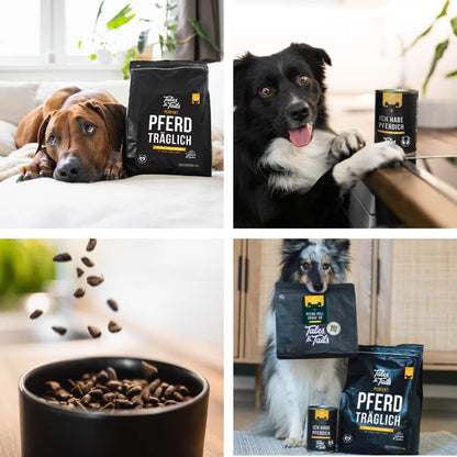Monoproteinpaket Pferd