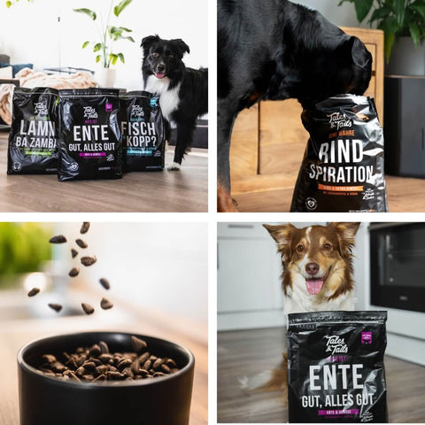 Dreier Paket Trockenfutter 4kg