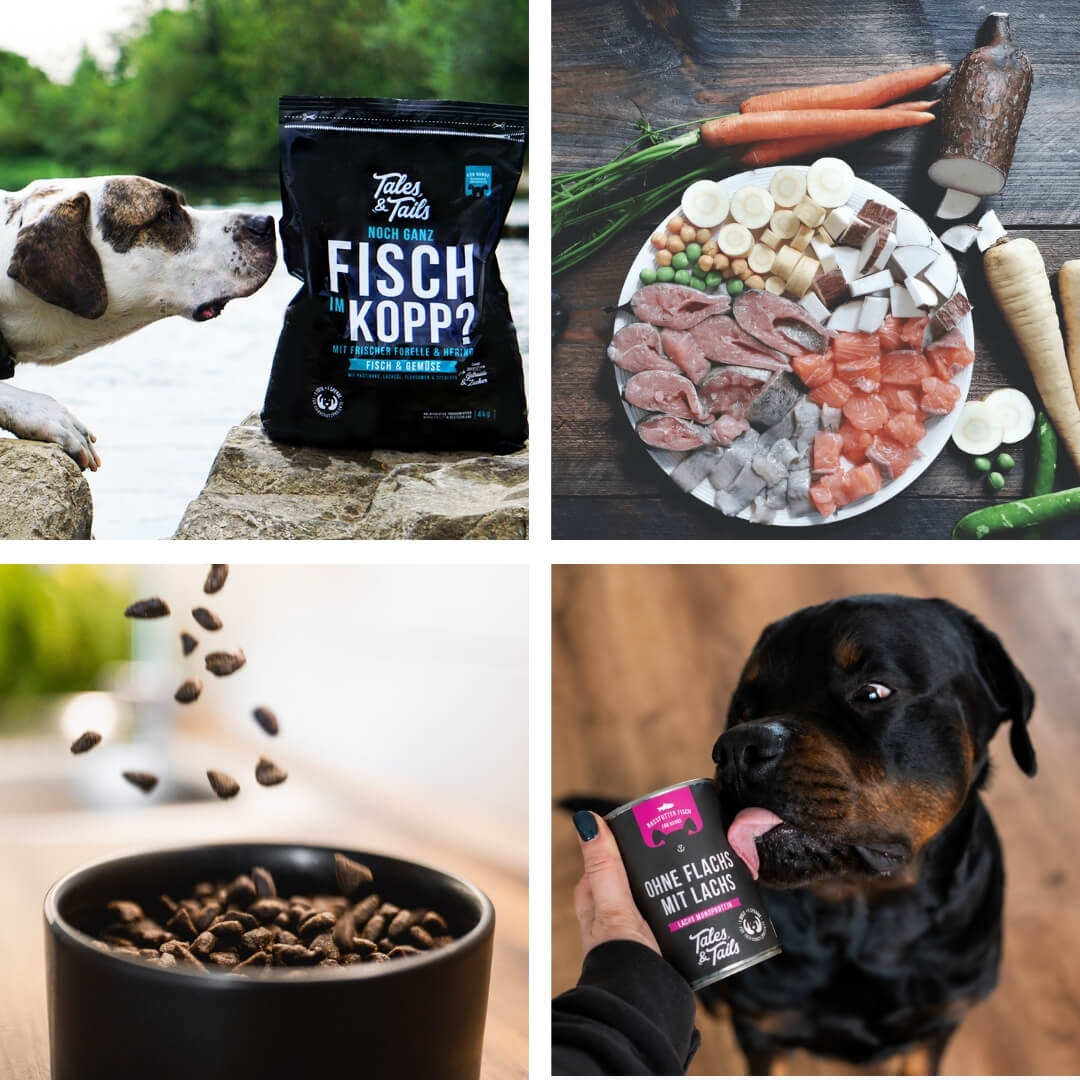 Monoproteinpaket Fisch