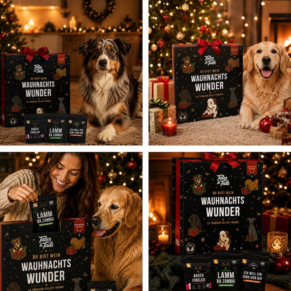 Wauhnachts-Wunder - Adventskalender