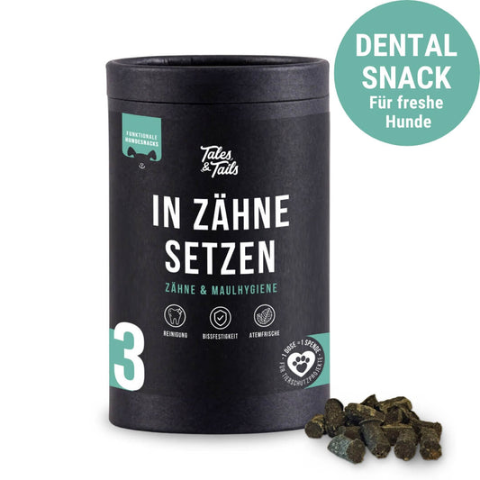 In Zähne setzen